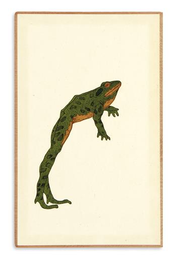 (CHELONIIDAE PRESS.) Twain, Mark. The Jumping Frog.